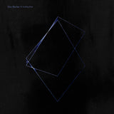 Beck - Soothing Rain 11 x 17 inch. Album Cover Poster