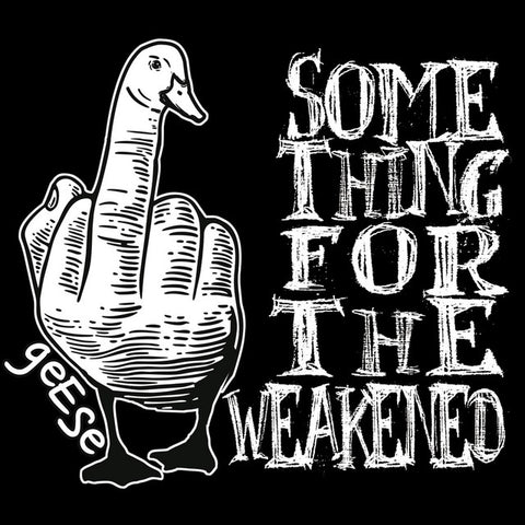 Geese - Something for the Weakened 24 x 36 inch. Album Cover Poster