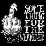 Geese - Something for the Weakened 11 x 17 inch. Album Cover Poster