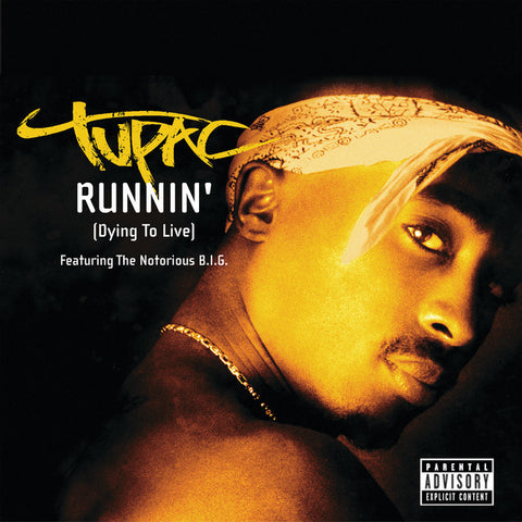 2Pac - Runnin' (Dying To Live) 24 x 36 inch. Album Cover Poster