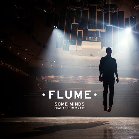 Flume - Some Minds (feat. Andrew Wyatt) 11 x 17 inch. Album Cover Poster
