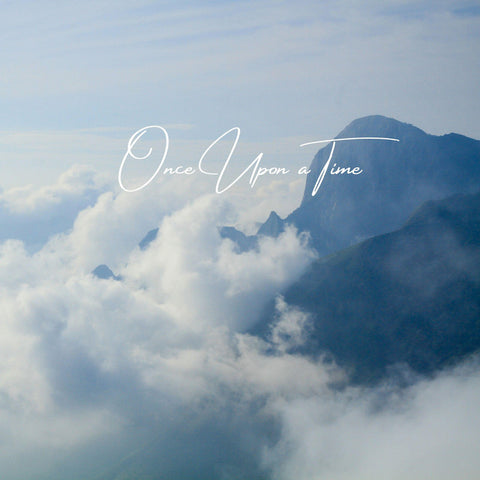 Austin Farwell - Once Upon a Time 24 x 36 inch. Album Cover Poster