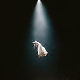 Ariana Grande - eternal sunshine deluxe: brighter days ahead 24 x 36 inch. Album Cover Poster