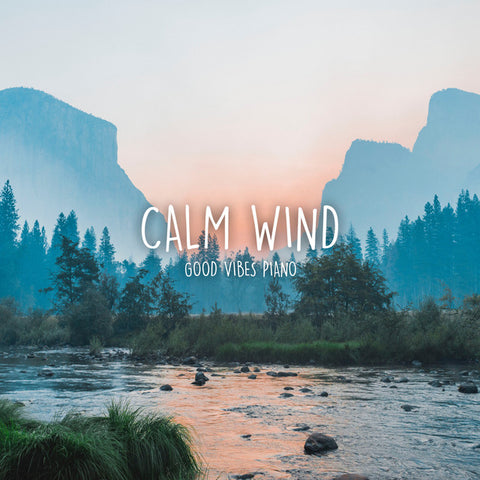 Julian Vaughn - Calm Wind (Radio Edit) 24 x 36 inch. Album Cover Poster