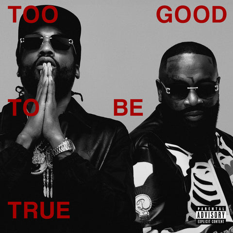 Rick Ross - Too Good To Be True 11 x 17 inch. Album Cover Poster