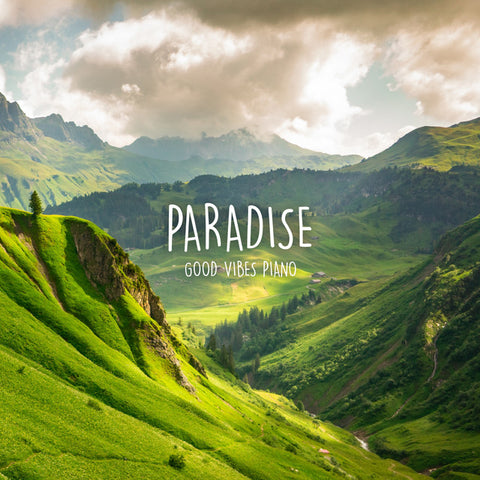 Julian Vaughn - Paradise (Radio Edit) 24 x 36 inch. Album Cover Poster
