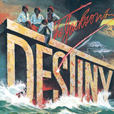 The Jacksons - Destiny 11 x 17 inch. Album Cover Poster