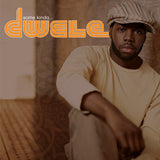 Dwele - Some Kinda... 24 x 36 inch. Album Cover Poster