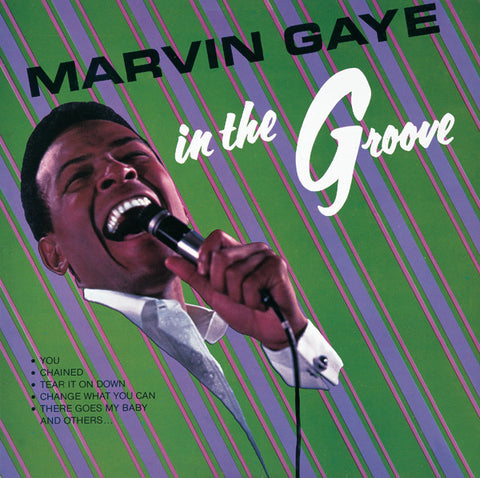 Marvin Gaye - In The Groove 24 x 36 inch. Album Cover Poster