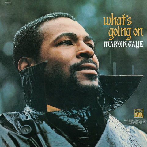 Marvin Gaye - What's Going On 24 x 36 inch. Album Cover Poster