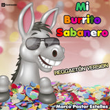 Estelle - Mi Burrito Sabanero 24 x 36 inch. Album Cover Poster