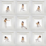 Foxes - The Kick 24 x 36 inch. Album Cover Poster