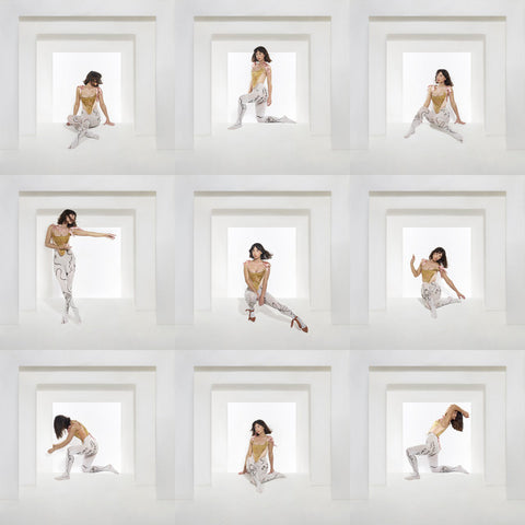 Foxes - The Kick 24 x 36 inch. Album Cover Poster