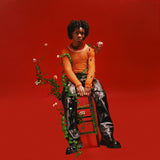 d4vd - Petals to Thorns 24 x 36 inch. Album Cover Poster