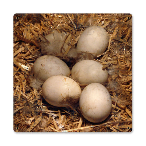 Eggs In Hay Vintage Sign Metal Sign
