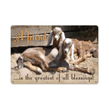 AIF084 Metal Sign