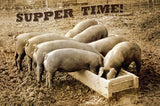 Pigs-Supper-Time-Metal-Sign