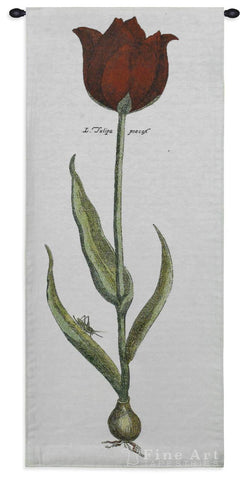 Red Tulipa Precox Wall Tapestry