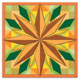 8 Point Star Orange 36 x 36 Custom Shape Metal Sign
