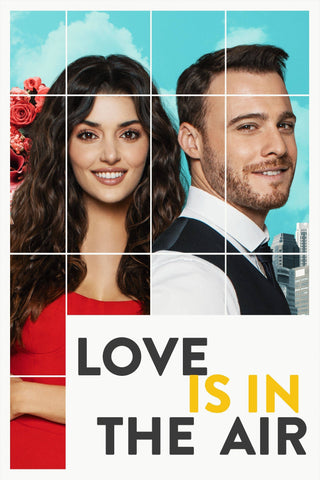 Love Is in the Air Style: 1 - 11 x 17 inch. TV Show Poster