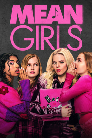 Mean Girls Style D Movie Poster 11 x 17 inch