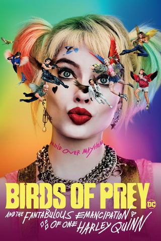Birds of Prey (and the Fantabulous Emancipation of One Harley Quinn) Style D Movie Poster 27 x 40 inch