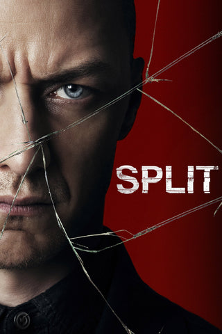 Split Style B Movie Poster 11 x 17 inch