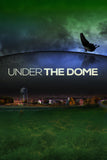 Under the Dome - Style Z. Tv Show Poster - 27 x 40 inch