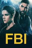 FBI Style: 2 - 27 x 40 inch. TV Show Poster