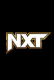 WWE NXT Style: 3 - 11 x 17 inch. TV Show Poster