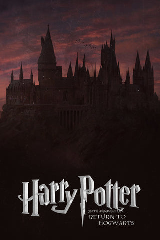 Harry Potter 20th Anniversary: Return to Hogwarts Style E Movie Poster 27 x 40 inch