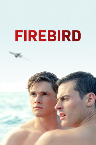 Firebird Style D Movie Poster 11 x 17 inch