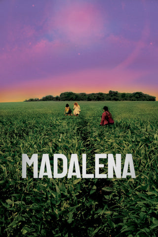 Madalena Style B Movie Poster 27 x 40 inch