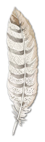 Feather-Vintage-Sign-Metal-Sign