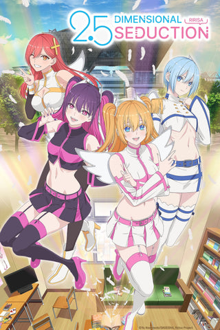 2.5 Dimensional Seduction - Style Z. Tv Show Poster - 11 x 17 inch