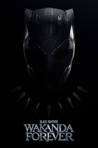 Black Panther: Wakanda Forever Style C Movie Poster 27 x 40 inch