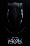 Black Panther: Wakanda Forever Style C Movie Poster 11 x 17 inch