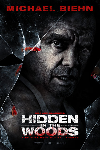 Hidden in the Woods Style C Movie Poster 11 x 17 inch