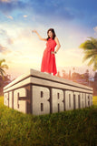 Big Brother Style: 3 - 27 x 40 inch. TV Show Poster