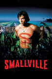 Smallville Style: 2 - 11 x 17 inch. TV Show Poster