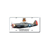 P-47D Thunderbolt Vintage Sign Metal Sign