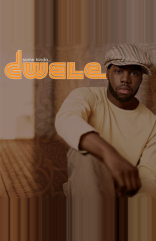 Dwele - Some Kinda... 11 x 17 inch. Album Cover Poster