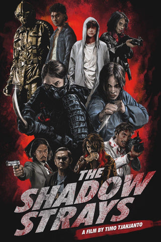 The Shadow Strays Style B Movie Poster 27 x 40 inch