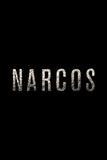 Narcos Style: 3 - 27 x 40 inch. TV Show Poster