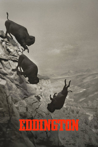 Eddington Style E Movie Poster 27 x 40 inch