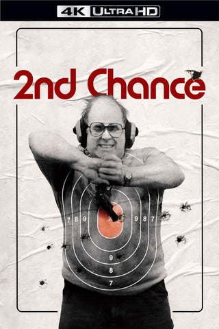 2nd Chance Style E Movie Poster 11 x 17 inch