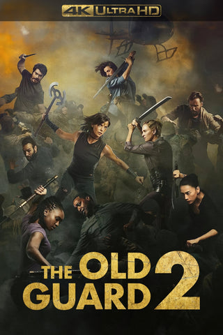 The Old Guard 2 Style E Movie Poster 27 x 40 inch