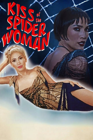 Kiss of the Spider Woman Style D Movie Poster 27 x 40 inch