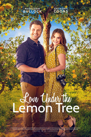 Love Under the Lemon Tree Style B Movie Poster 27 x 40 inch