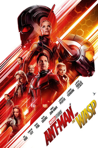 Ant-Man and the Wasp Style C Movie Poster 27 x 40 inch